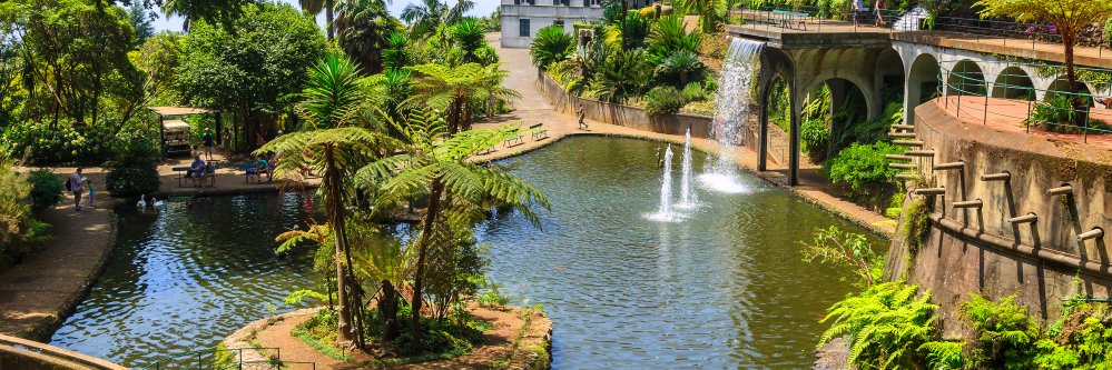 Veranea en la paradisíaca Isla de Madeira