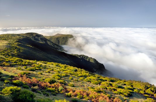 Madeira en diciembre